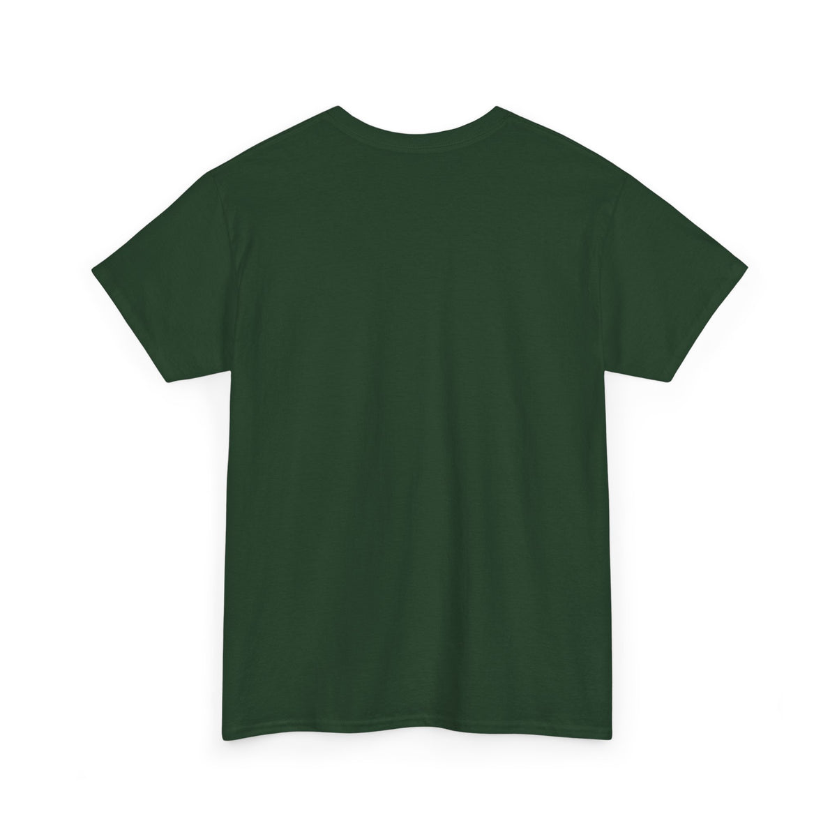 I Can Do All Things - Philippians 4:13 Christian T-Shirt