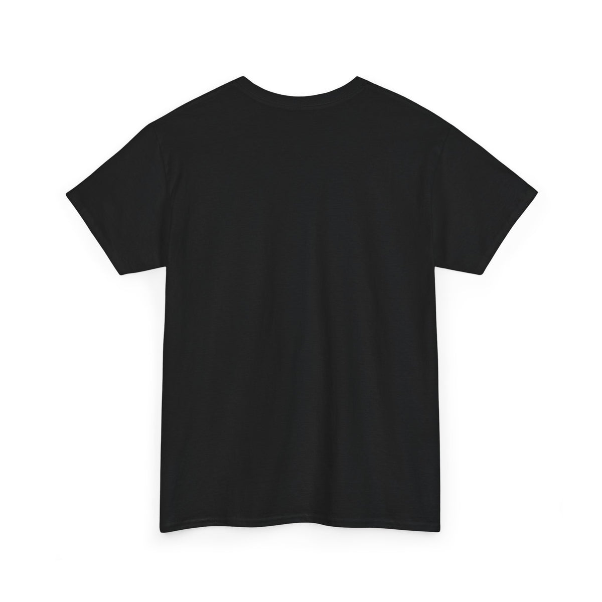I Can Do All Things - Philippians 4:13 Christian T-Shirt